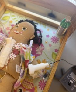 Butterfly Pig medical toy